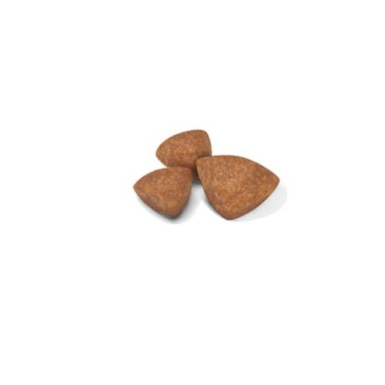 sol-x-small-puppy-dry-kibble-b1