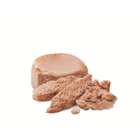 starter-mousse-dog18