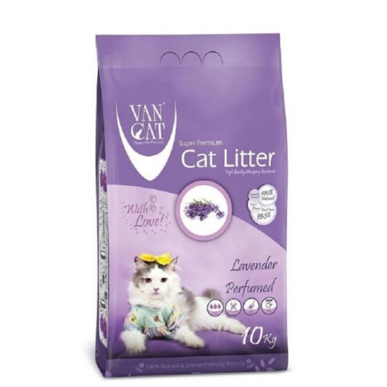van cat ap.jpg