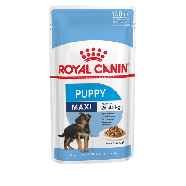 shn18-maxi-puppy-n-pouch-140.jpg
