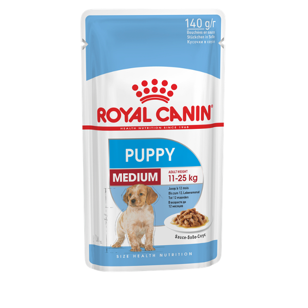 shn18-medium-puppy-n-pouch-140.jpg