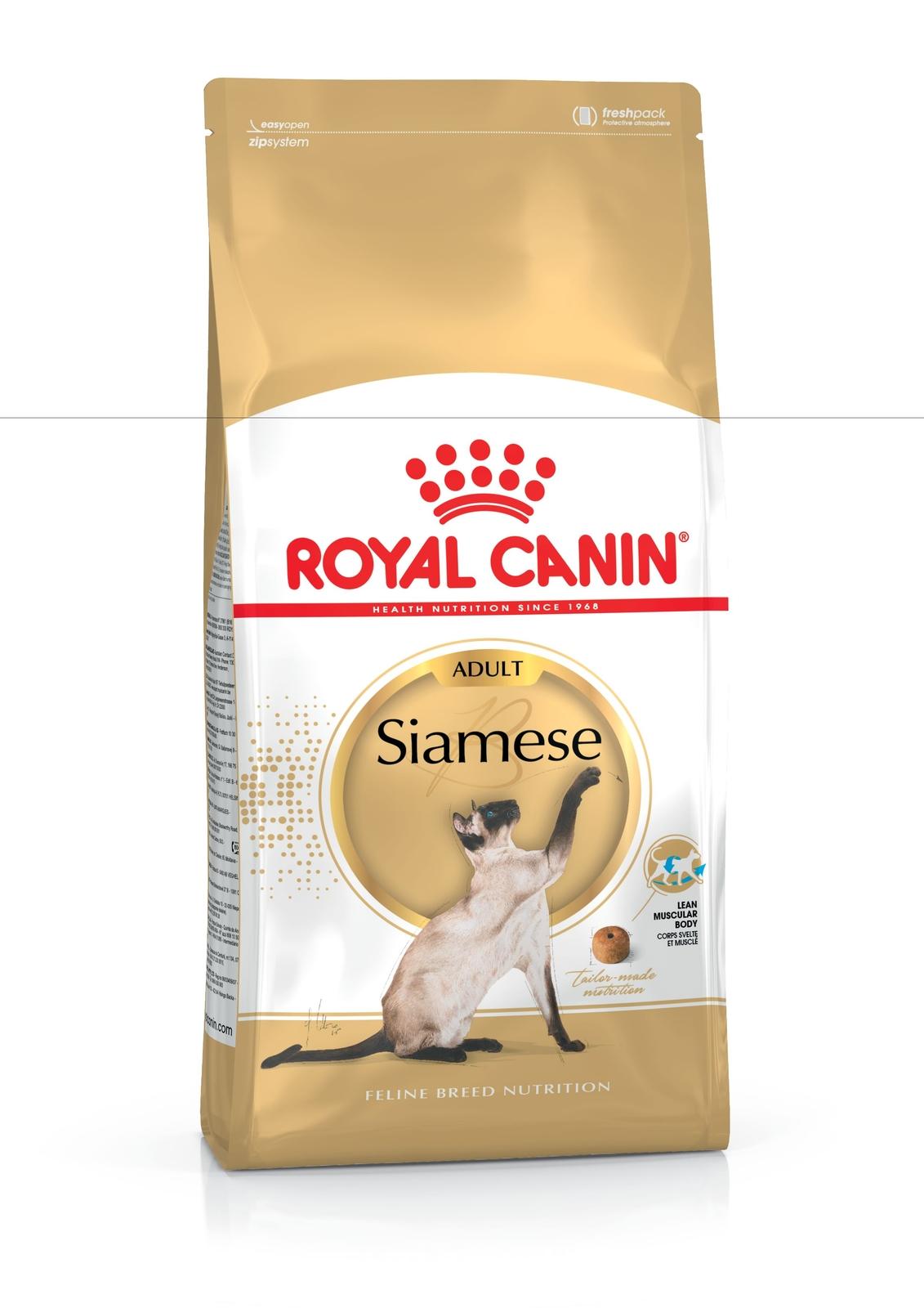 siamese-adult.jpg